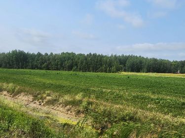 TBD 340th Avenue NE, Goodridge, MN 56725
