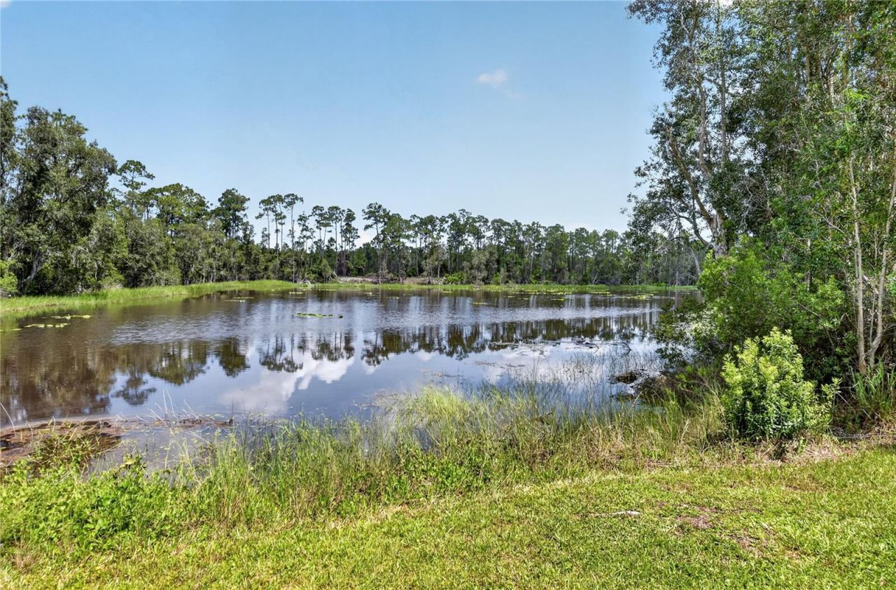 12141 Buenos Court, Punta Gorda, FL 33955 Photo