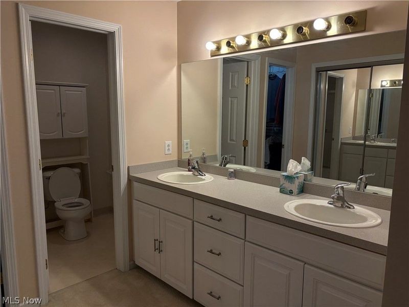 7270 Village Drive, Concord Township, OH 44060 Photo 21