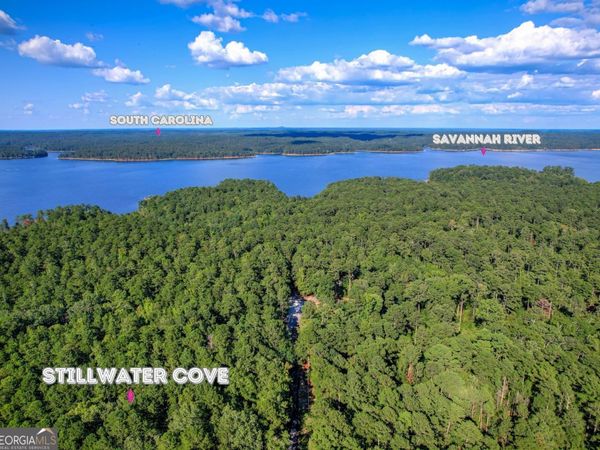 1309 Shimmering Water Cove, Tignall, GA 30668