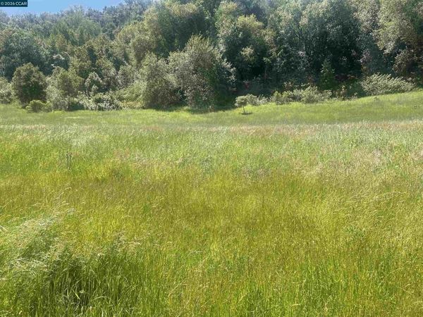 1180 Bear Creek Rd, Martinez, CA 94553