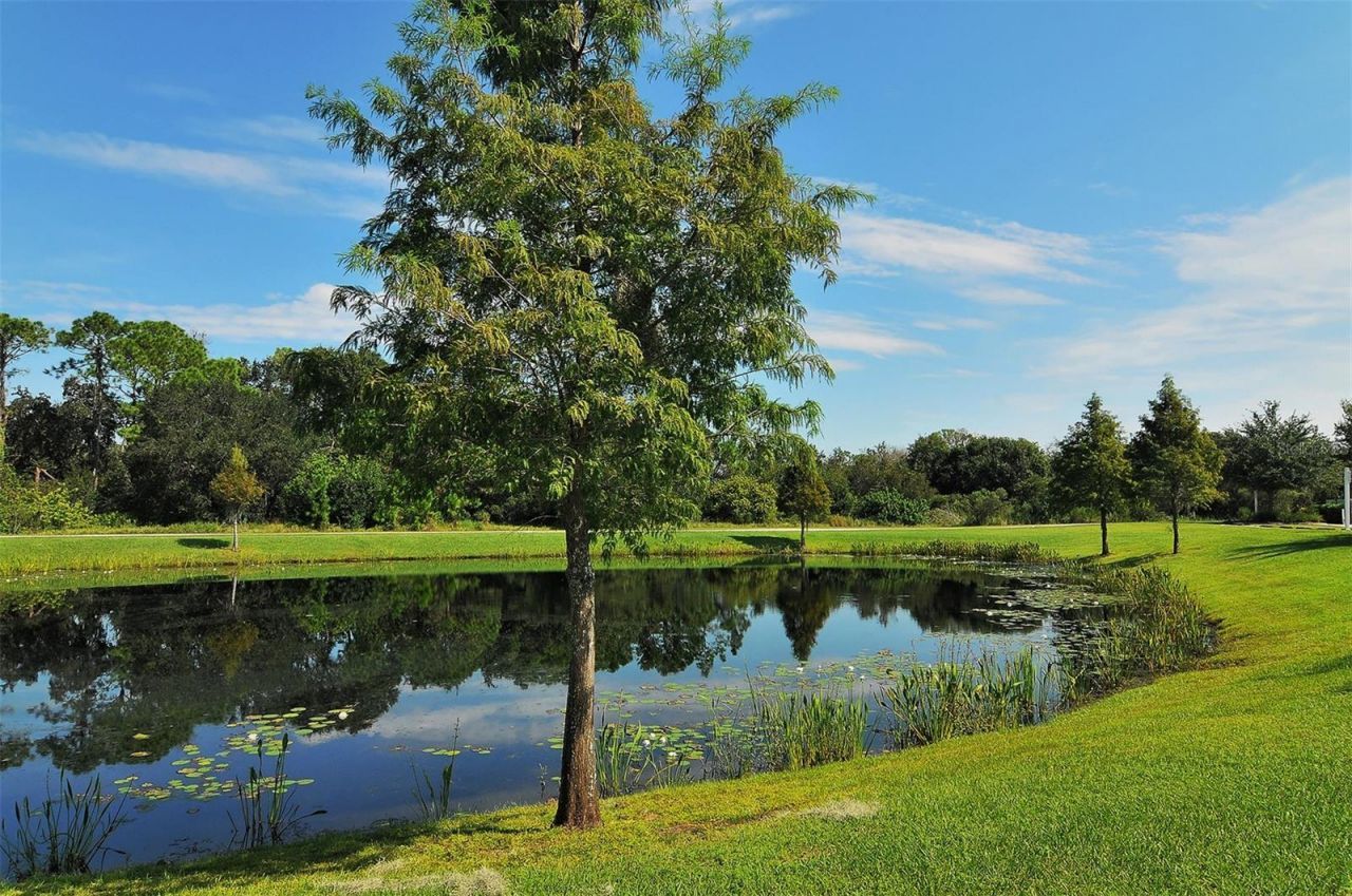 14908 Bowfin Terrace, Lakewood Ranch, FL 34202 Photo