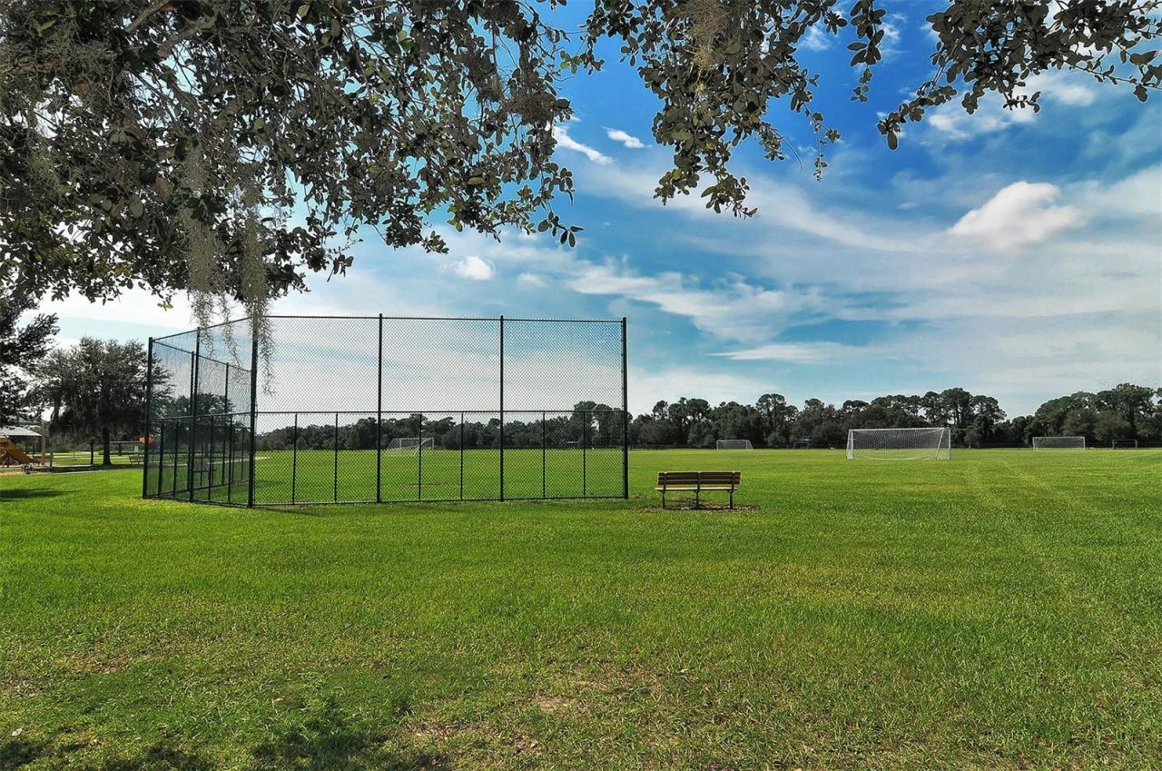 14908 Bowfin Terrace, Lakewood Ranch, FL 34202 Photo
