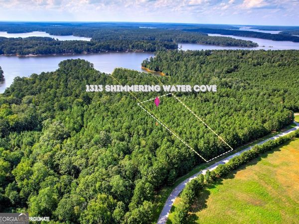 1313 Shimmering Water Cove, Tignall, GA 30668