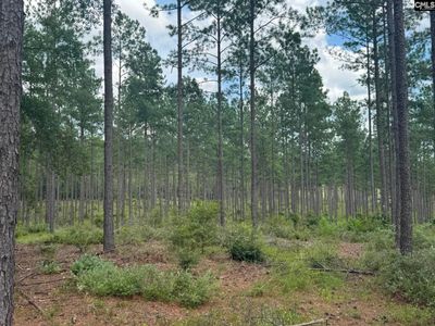 Beaver Creek Road , Unit 1, Swansea, SC 29160