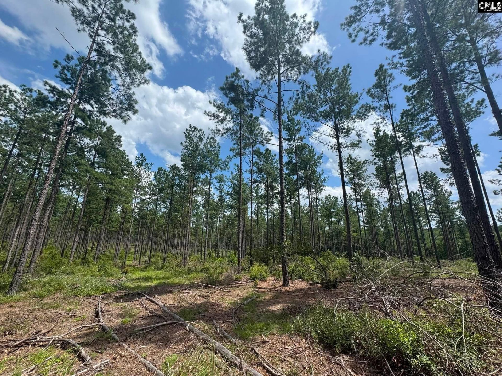 Beaver Creek Road  Photo 16