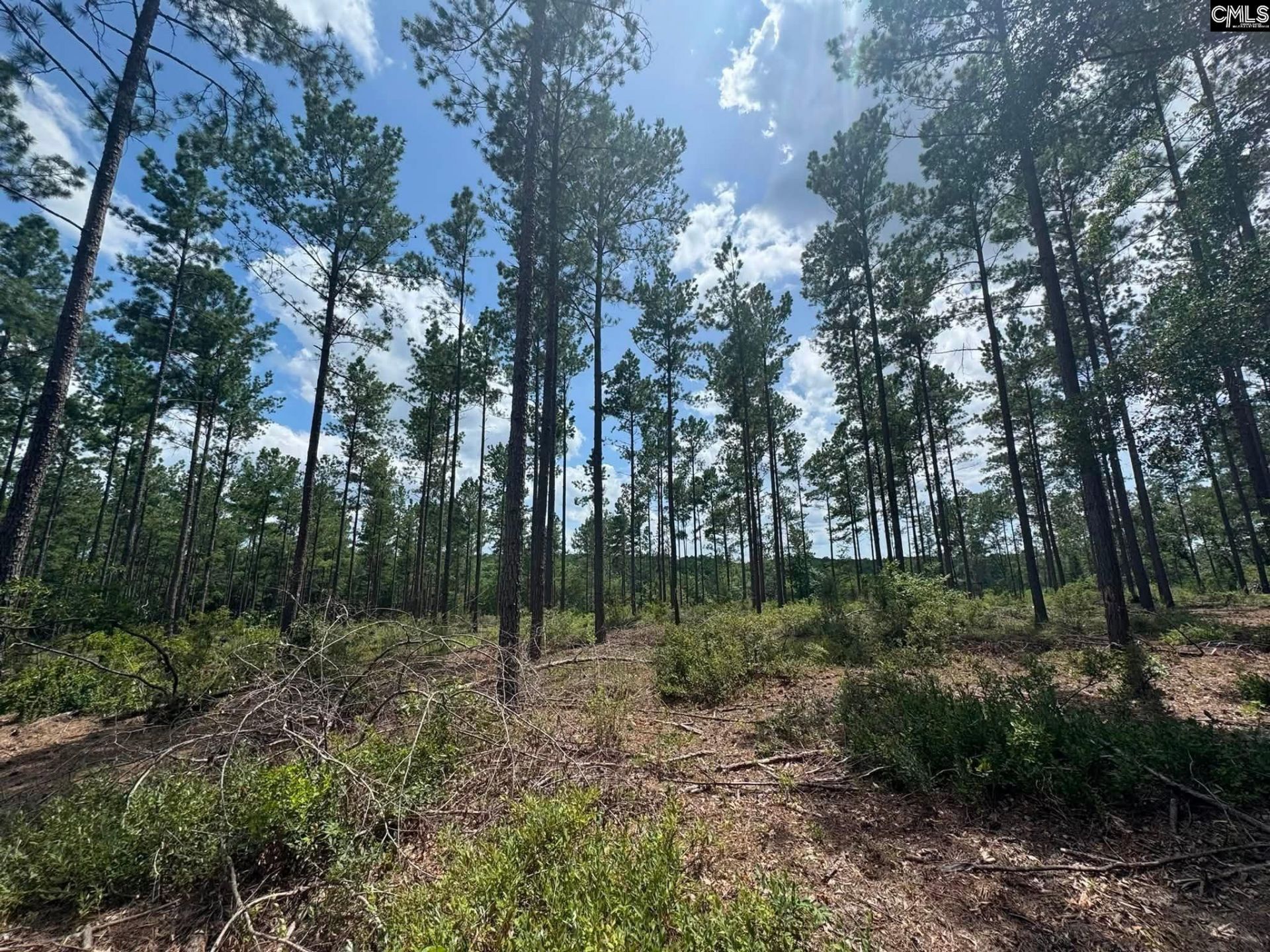 Beaver Creek Road  Photo 24