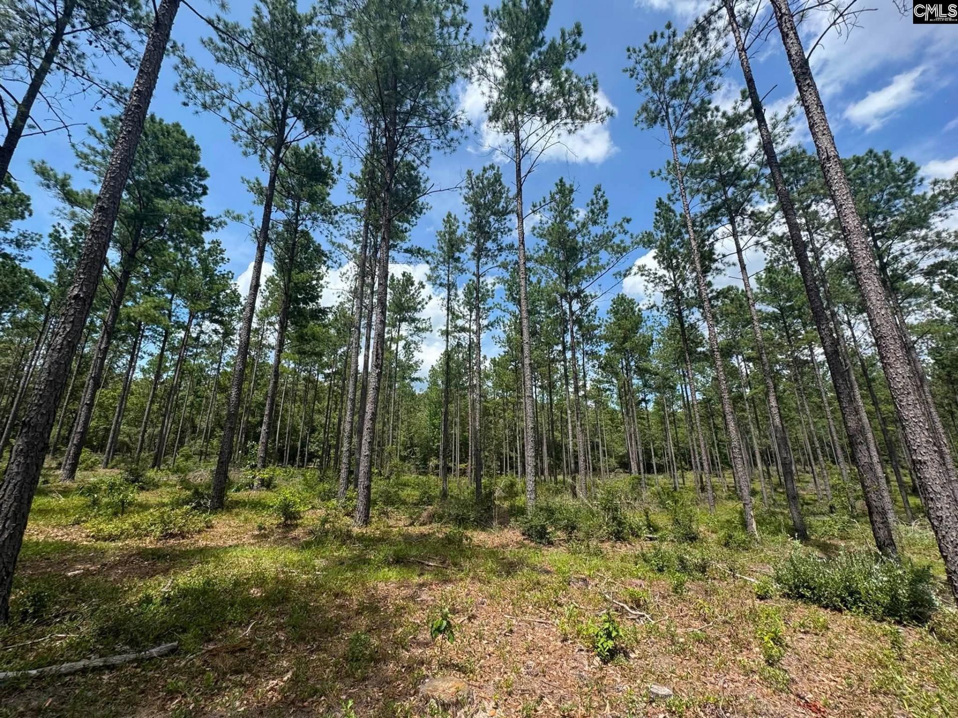 Beaver Creek Road  Photo 28
