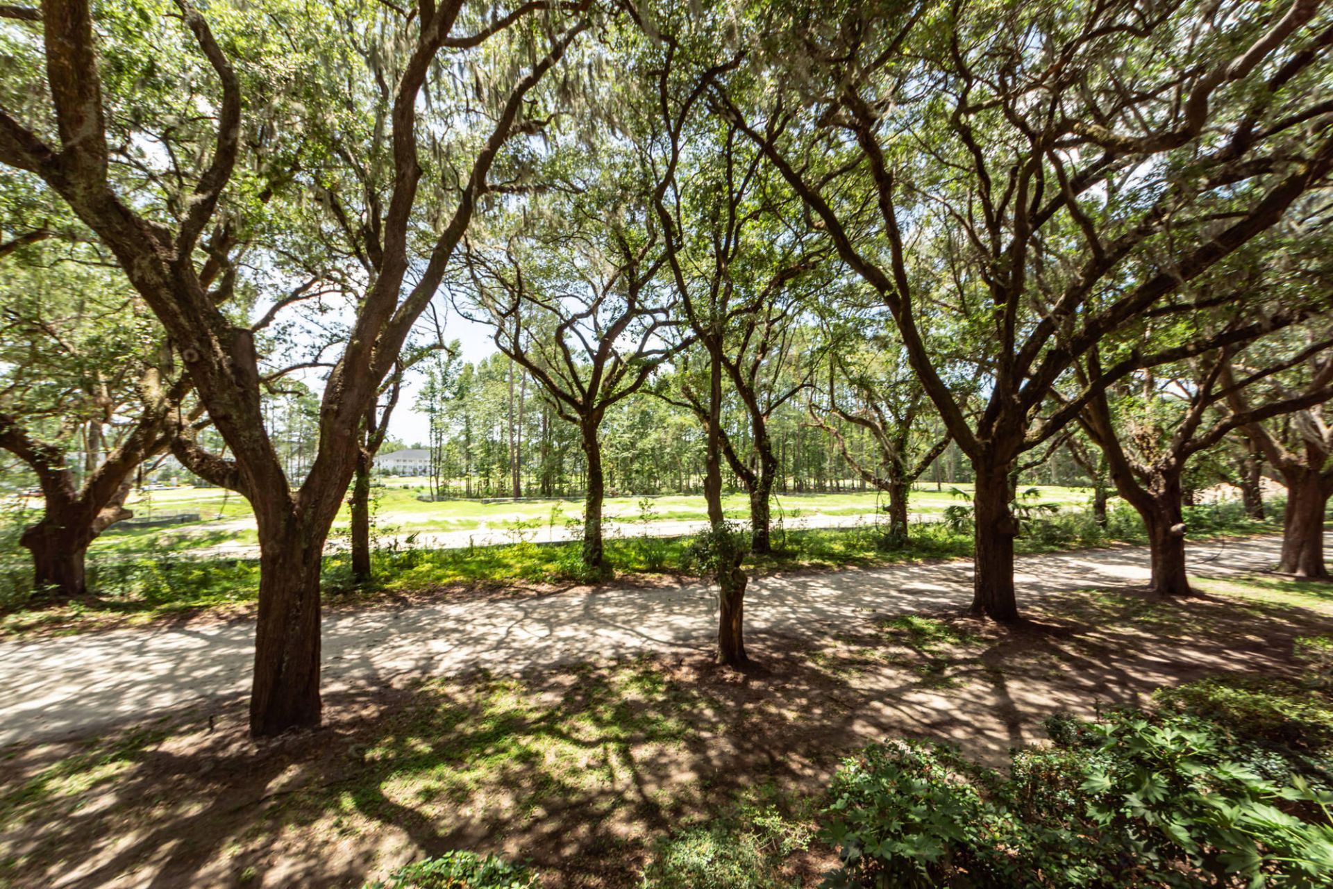 60 Fenwick Hall Allee Photo 6