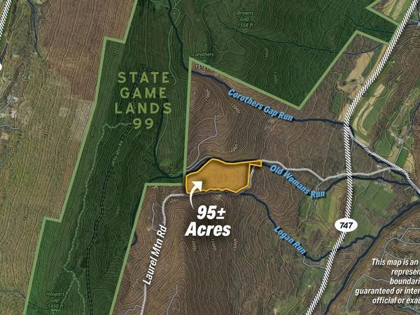 95+/- ACRES LAUREL MOUNTAIN RD , THREE SPRINGS, PA 17264