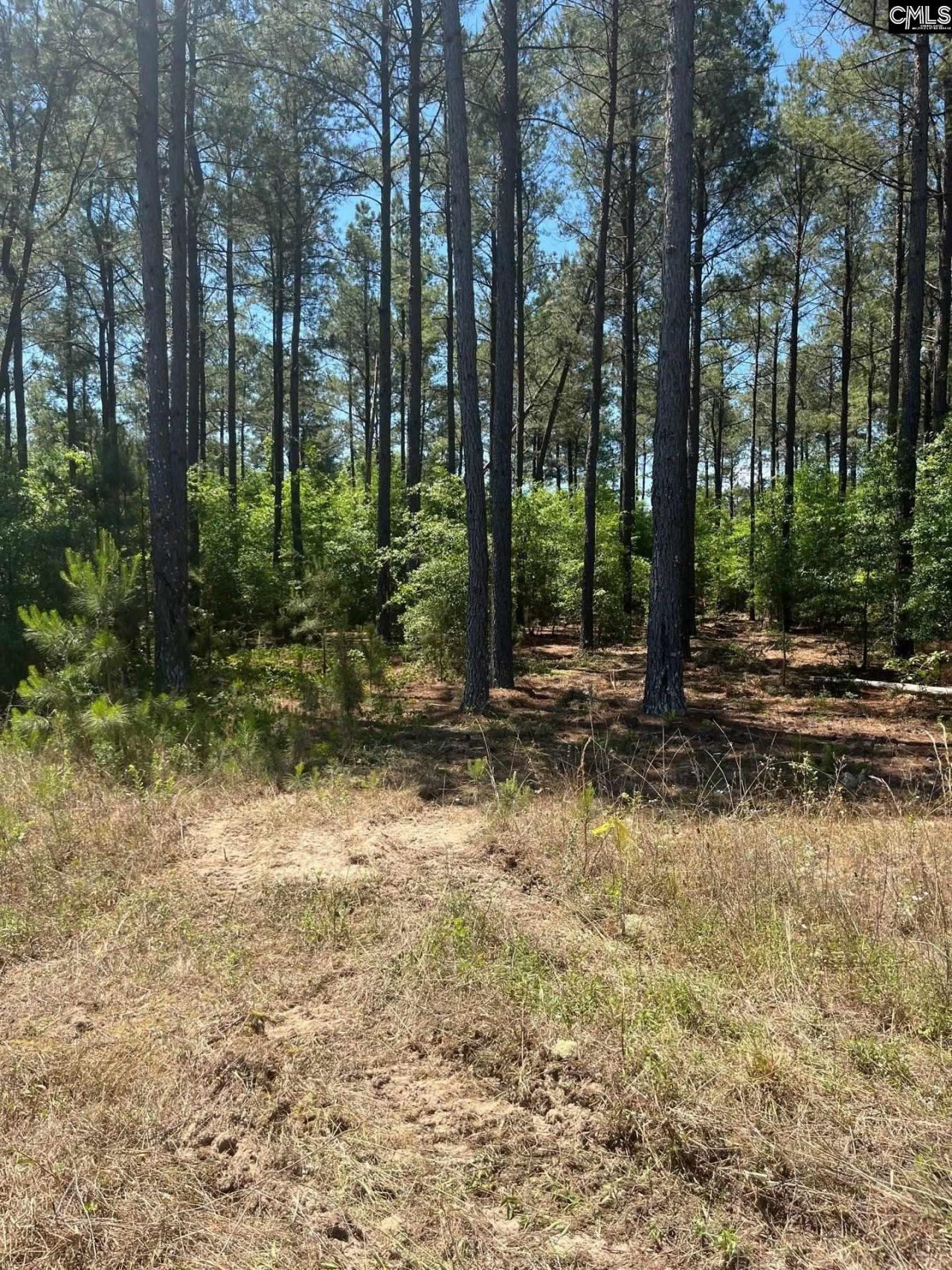 Sda 2 Salley Road Photo 10