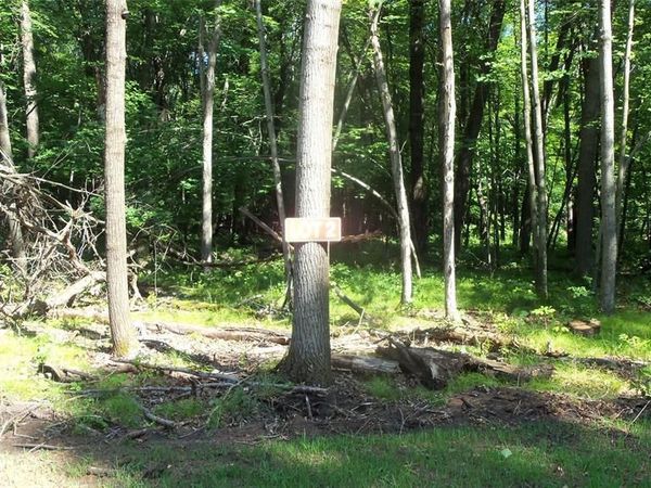 Lot 2 Howard Johnson Trl, Siren, WI 54872