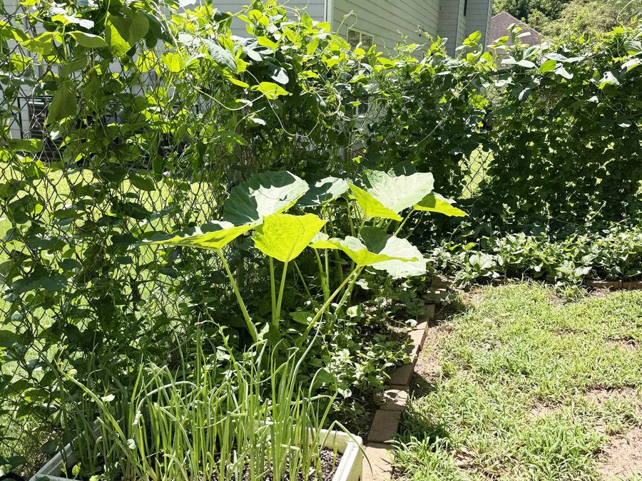 Property Image 31