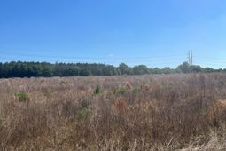 Sda 3 Salley Road  photo 4