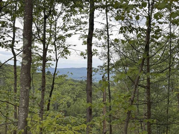 M13 L7 Tower Hill Road, Hinsdale, NH 03451