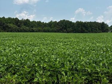 Tax ID 36 19 ZACATA ROAD , MONTROSS, VA 22520