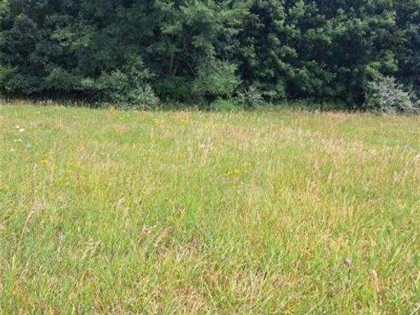 6120 Sunnys Way , Imlay Twp, MI 48444