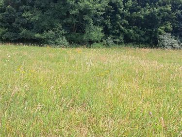 6120 Sunnys Way, Imlay Township, Mi 48444