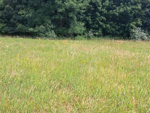 6120 Sunnys Way, Imlay Township, Mi 48444