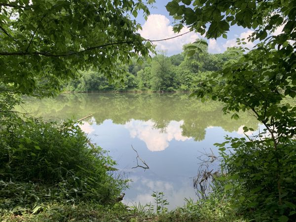 3 Off Kennys Bend Ln , Carthage, TN 37030