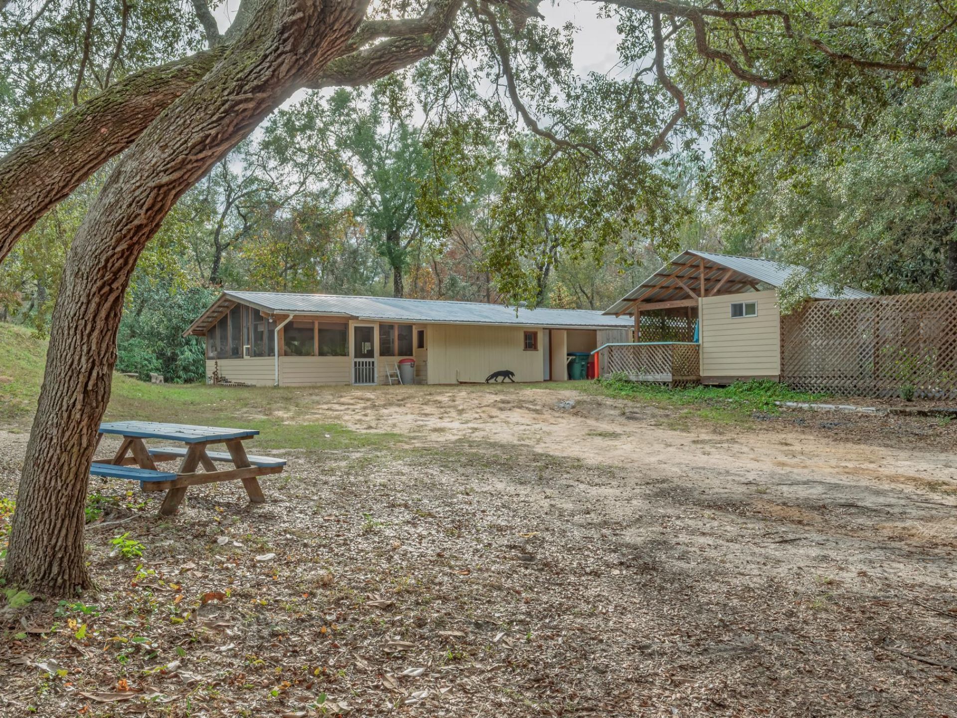 60 Lizard Lane , Sopchoppy, FL 32358 Photo