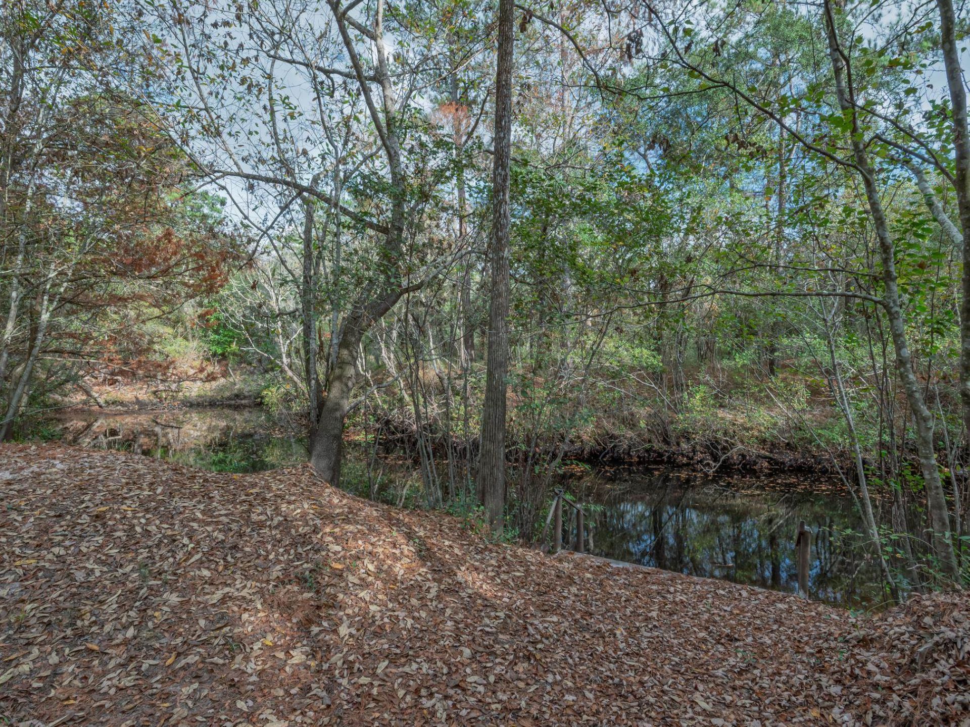 60 Lizard Lane , Sopchoppy, FL 32358 Photo