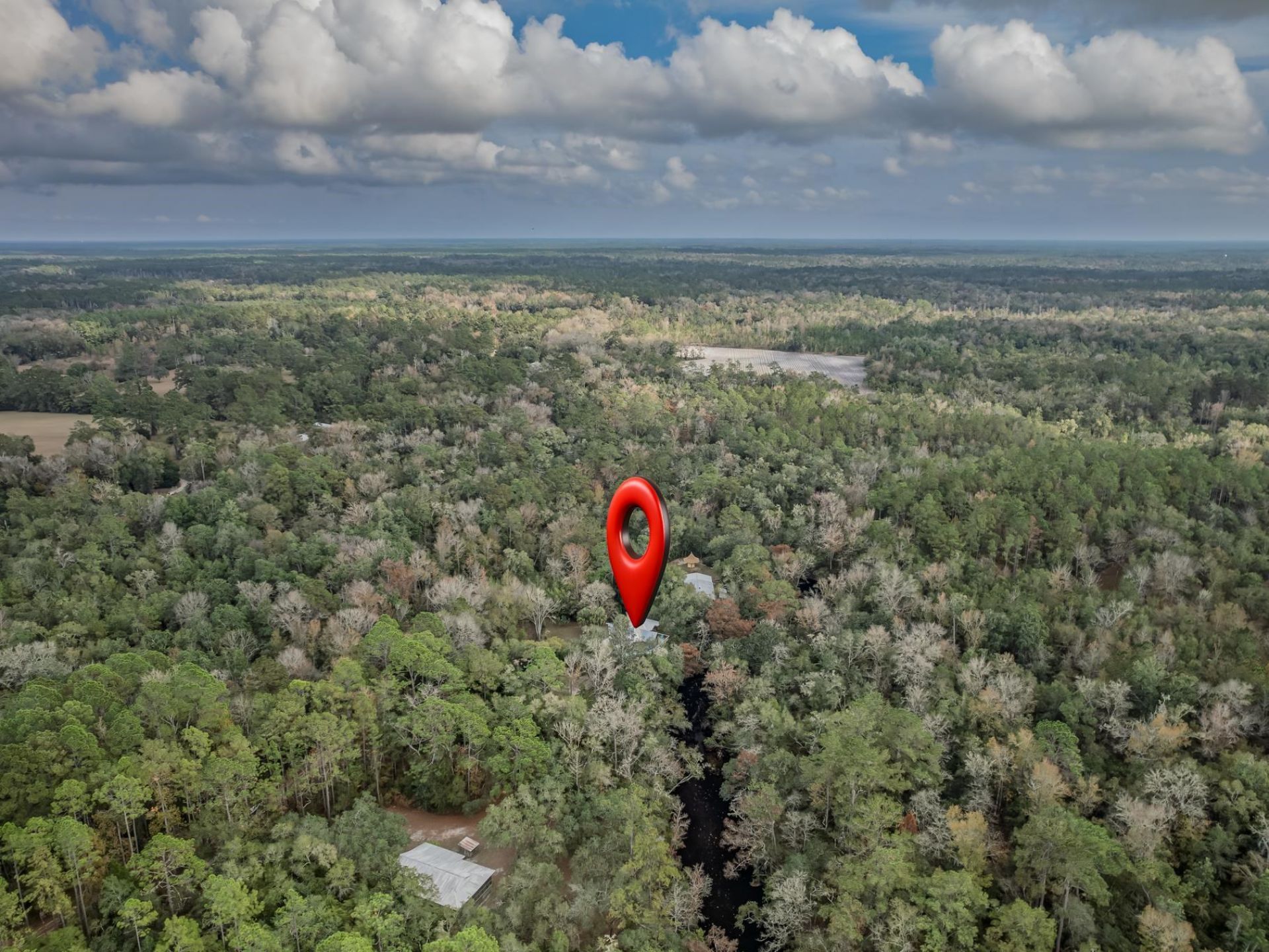 60 Lizard Lane , Sopchoppy, FL 32358 Photo
