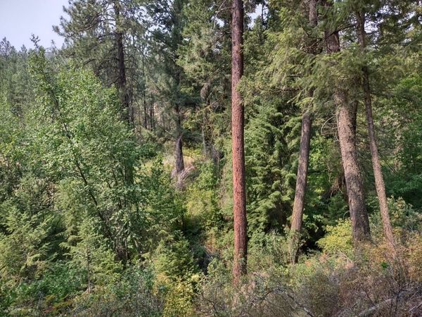 7600 Bernhill Rd, Spokane, WA 99208
