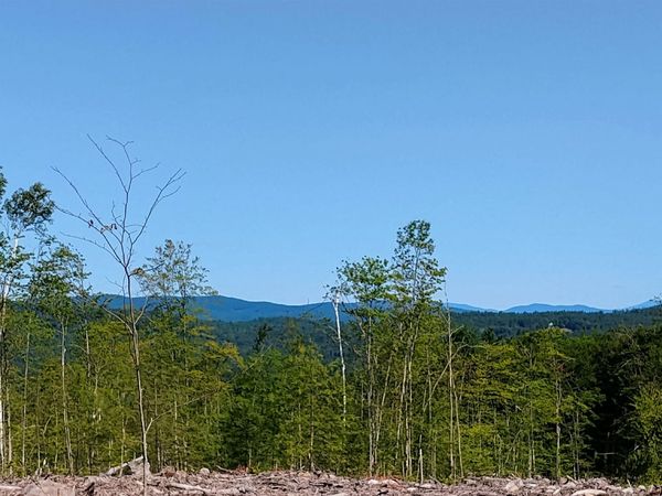 xx Isaac Colby Road, Sanbornton, NH 03269