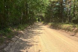 Sda 5 Salley Road photo 4