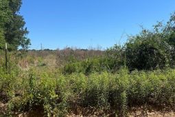 Sda 5 Salley Road photo 4