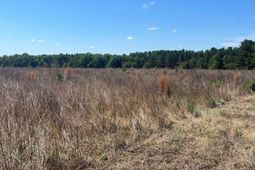 Sda 5 Salley Road photo 4