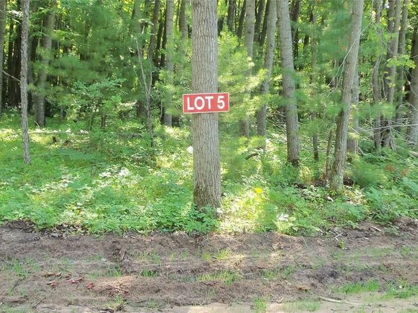 Lot 5 Howard Johnson Trl, Siren, WI 54872