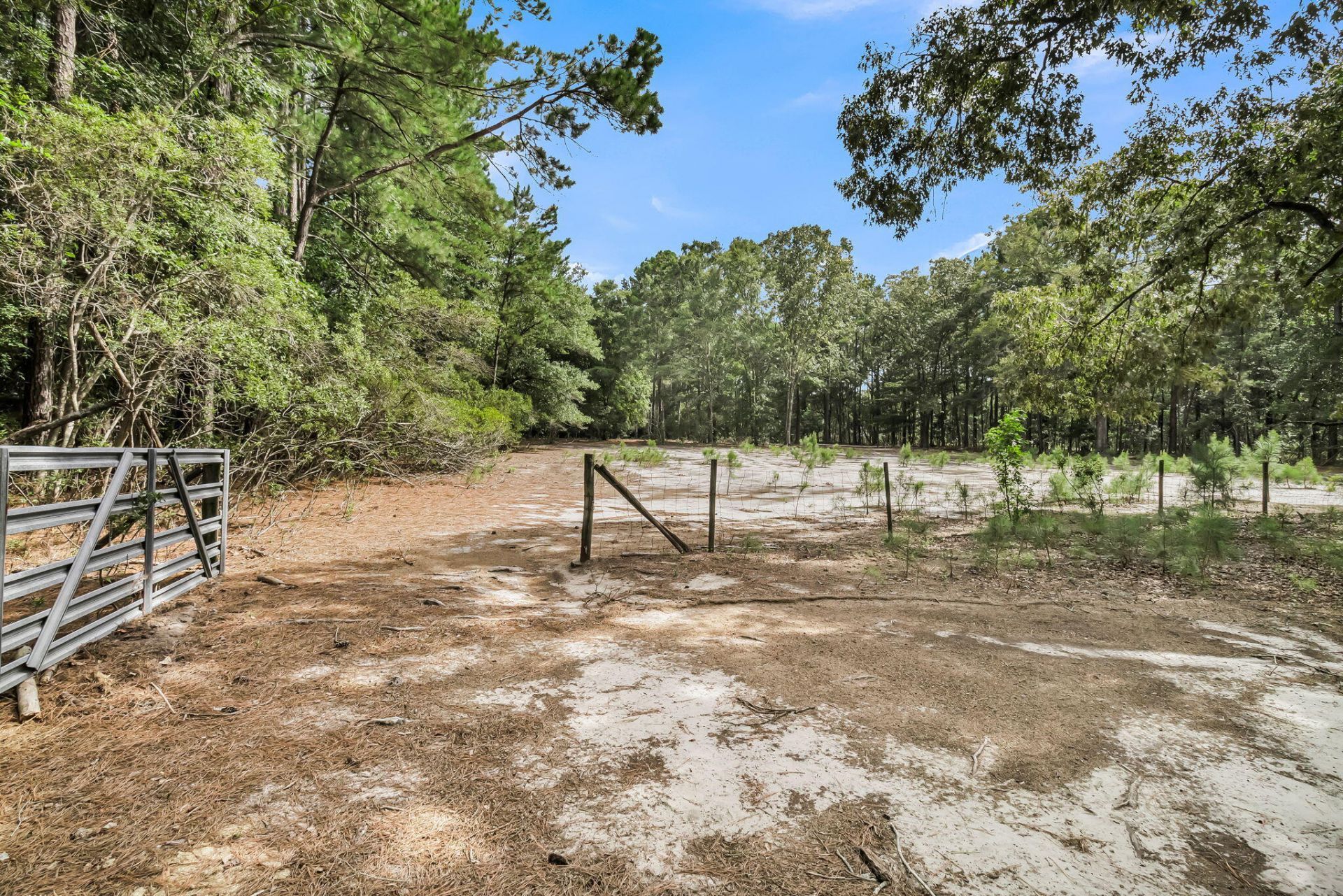 7971 Highway 162 Photo 40