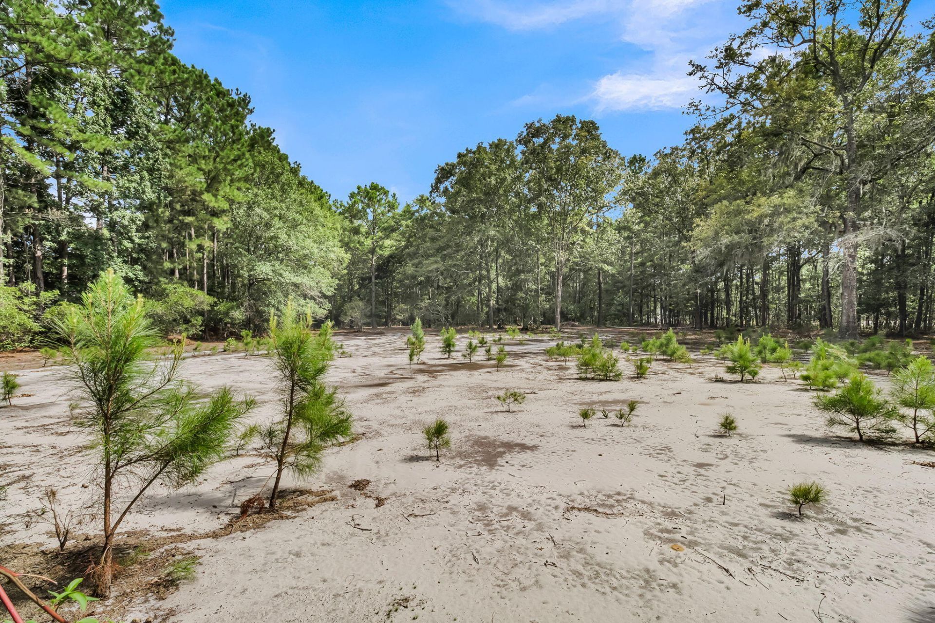 7971 Highway 162 Photo 46