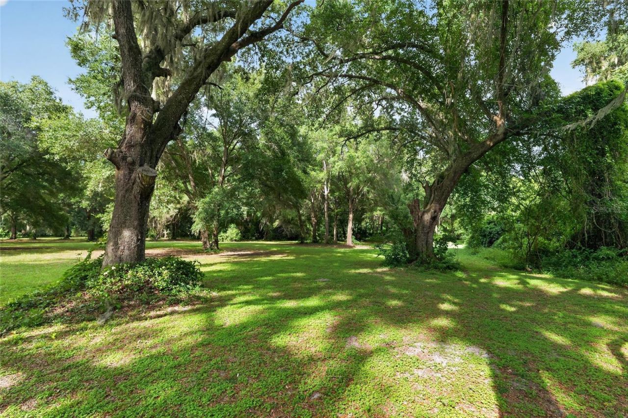 18741 N Us Highway 301, Citra, FL 32113 Photo