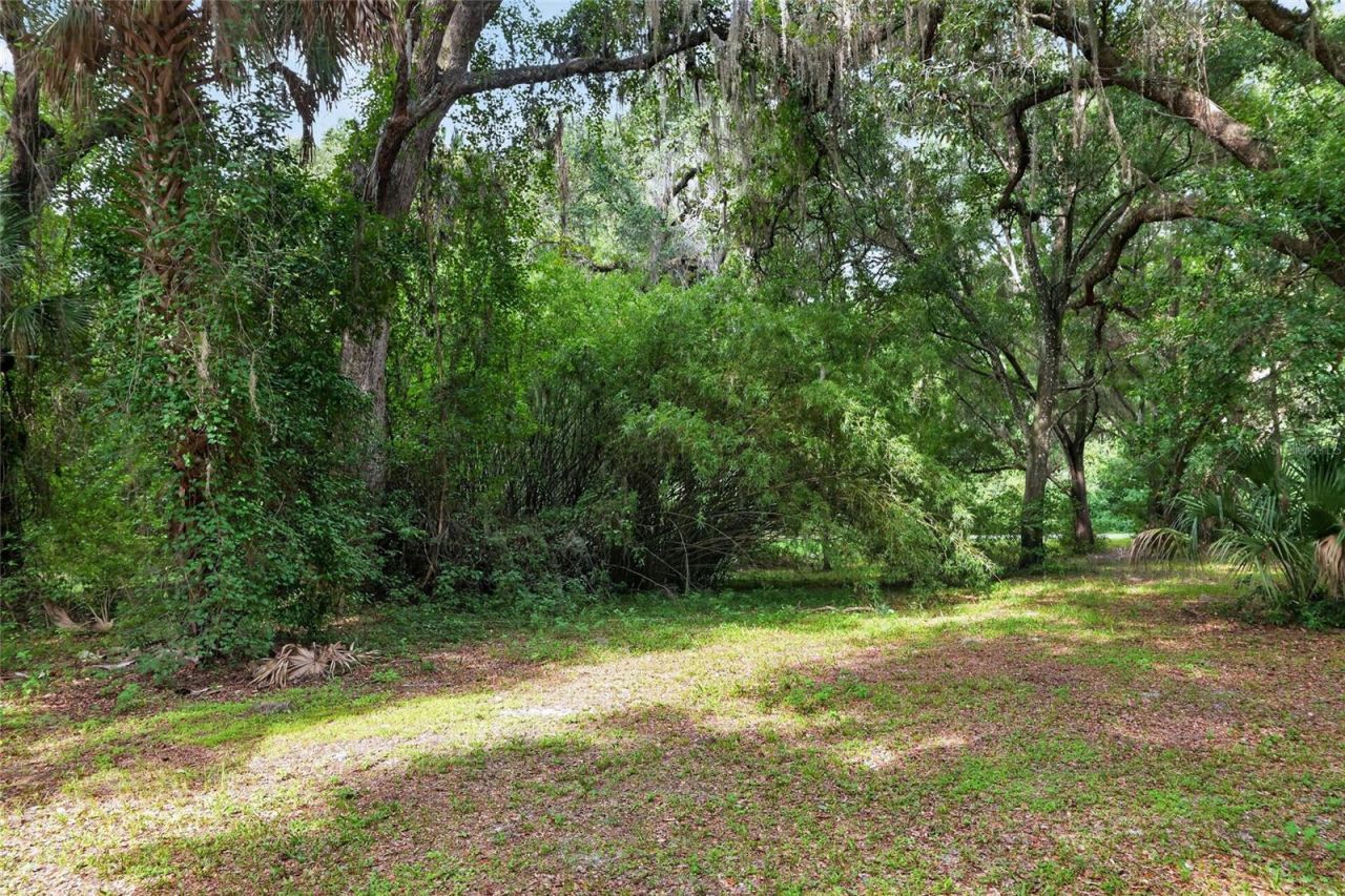 18741 N Us Highway 301, Citra, FL 32113 Photo