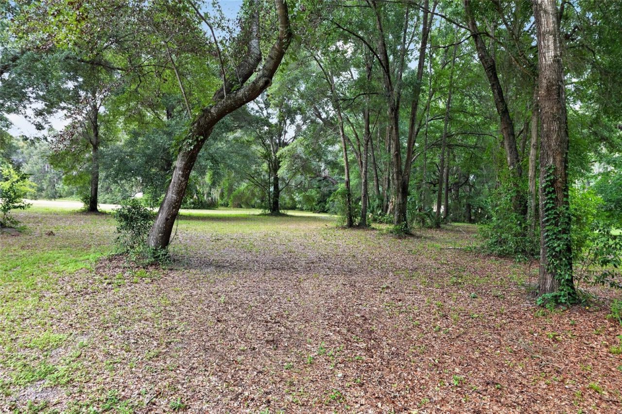 18741 N Us Highway 301, Citra, FL 32113 Photo