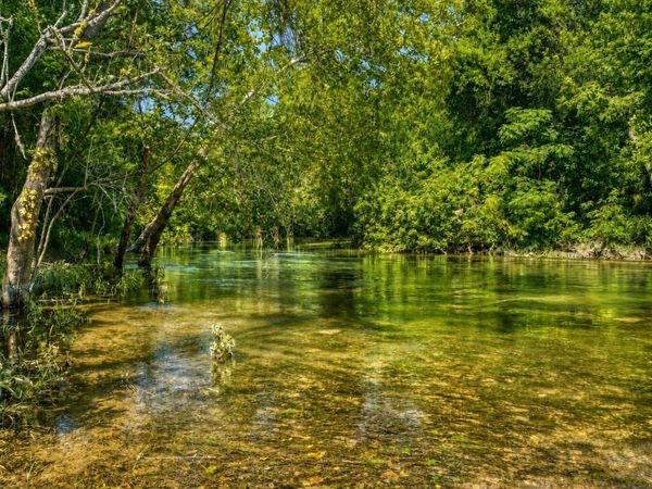 1498 Elmer King RD, Belton, TX 76513