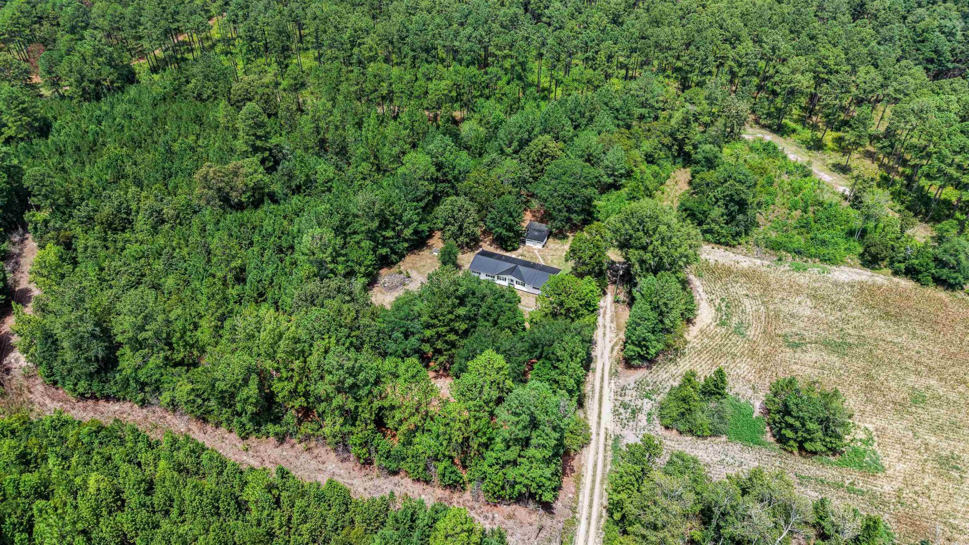 145 Sarah Ave.  Photo 40