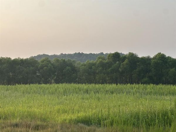 Lot 5 28th Avenue, Elk Mound, WI 54739