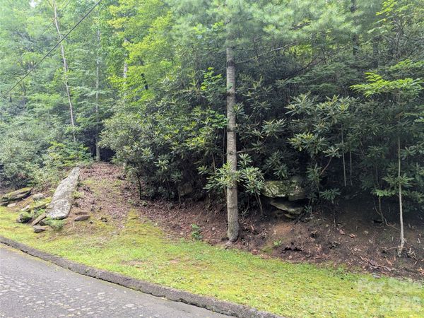 99999 Maryland Place , Montreat, NC 28757