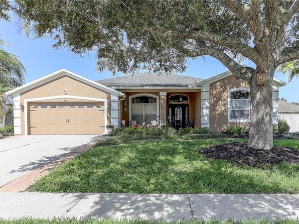 3815 RED BLUFF CT, LAND O LAKES, FL 34639