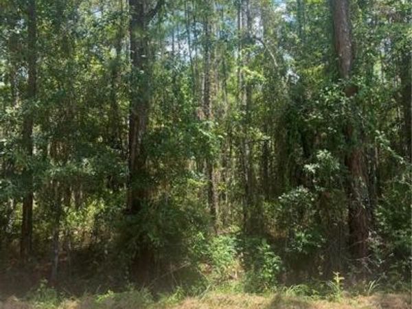 0 Maura Drive , Bayou La Batre, AL 36509