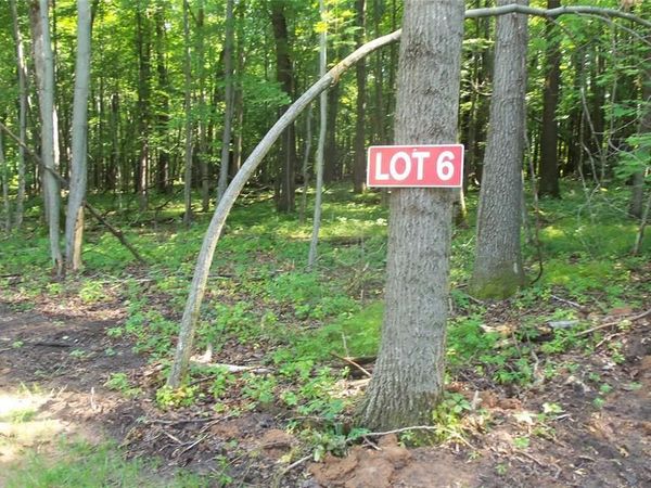 Lot 6 Howard Johnson Trl, Siren, WI 54872
