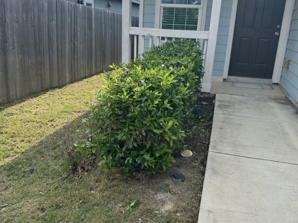 443 Ambush Ridge, San Antonio, TX 78220