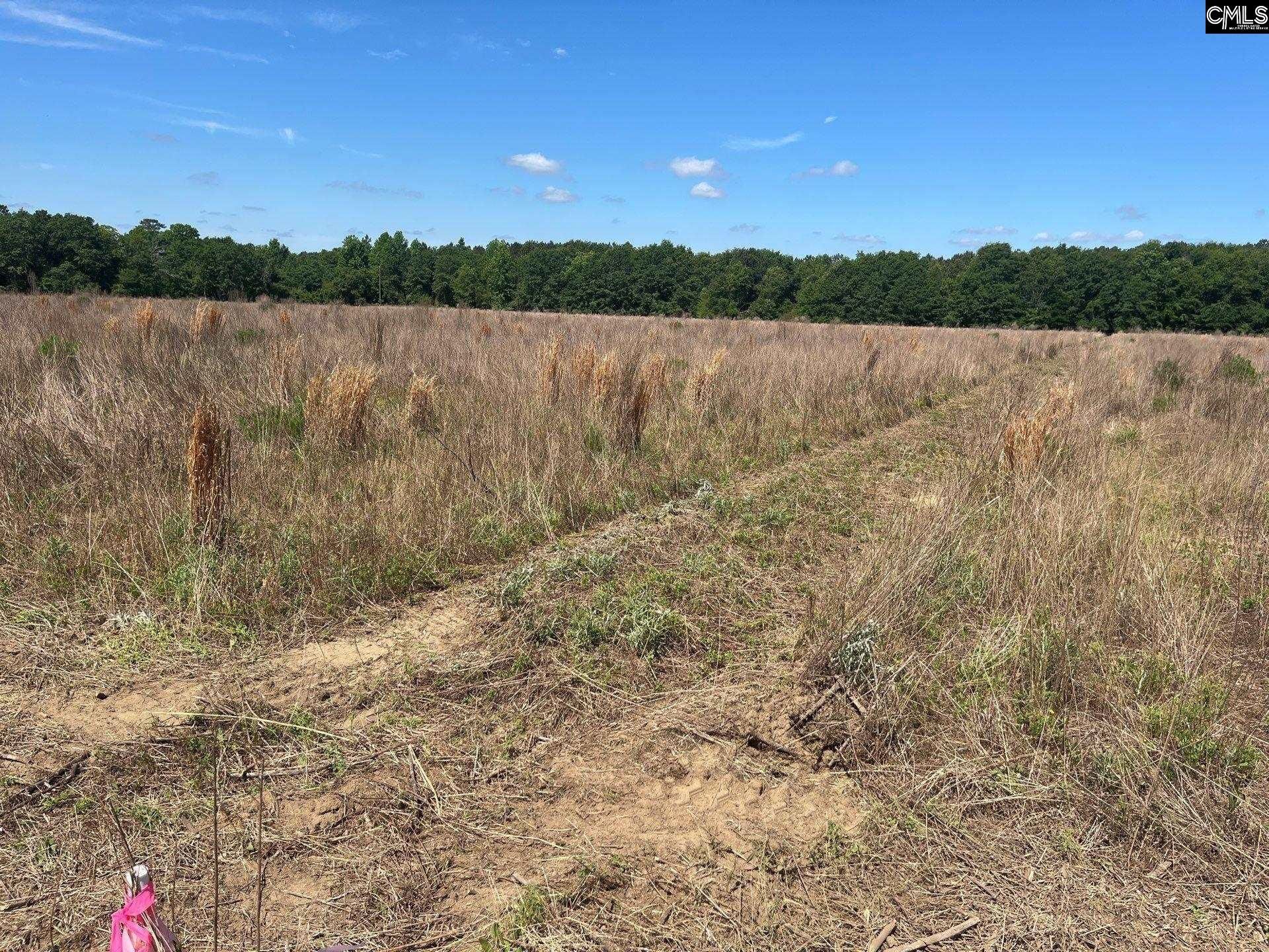 Sda 6 Salley Road  Photo 13