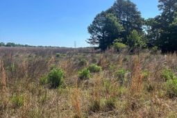 Sda 6 Salley Road  photo 4