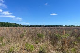 Sda 6 Salley Road  photo 4