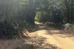 Sda 6 Salley Road  photo 4